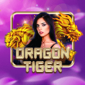 Nustar Online Dragon Tiger live casino